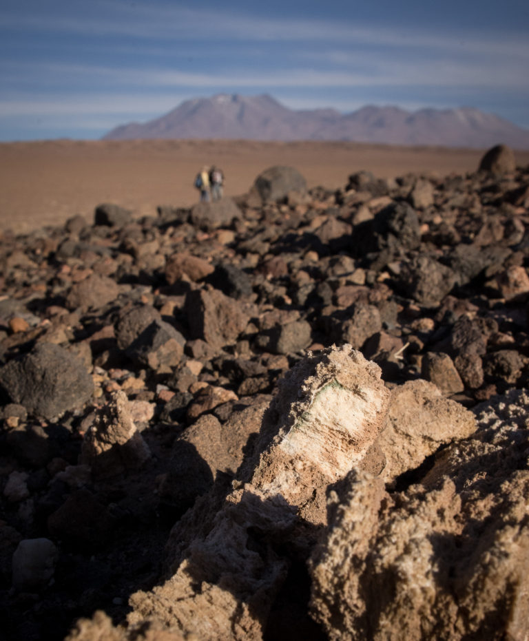 In Northern Chile’s Atacama Desert, one of the driest places on Earth, microorganisms live beneath thin layers of rock to gain some protection from harsh winds and solar radiation. Water, although limited, is stored as a structural element within these rocks. Jocelyne DiRuggiero / Johns Hopkins University In Northern Chile’s Atacama Desert, one of the driest places on Earth, microorganisms live beneath thin layers of rock to gain some protection from harsh winds and solar radiation. Water, although limited, is stored as a structural element within these rocks. Jocelyne DiRuggiero / Johns Hopkins University