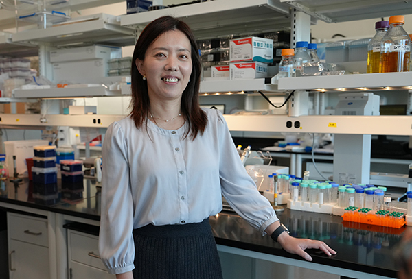“Right now, biomanufacturing can’t compete with fossil-fuel based processes because of cost,” Li says. By decreasing the cost, she says, waste and emissions could decrease as well. “Right now, biomanufacturing can’t compete with fossil-fuel based processes because of cost,” Li says. By decreasing the cost, she says, waste and emissions could decrease as well.