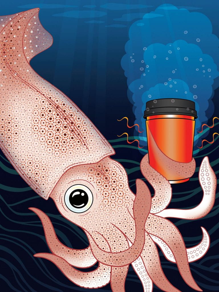 Researchers in the Department of Chemical and Biomolecular Engineering at the University of California, Irvine have invented a squid-skin inspired material that can wrap around a coffee cup to shield sensitive fingers from heat. They have also created a method for economically mass producing the adaptive fabric, making possible a wide range of uses. Melissa Sung Researchers in the Department of Chemical and Biomolecular Engineering at the University of California, Irvine have invented a squid-skin inspired material that can wrap around a coffee cup to shield sensitive fingers from heat. They have also created a method for economically mass producing the adaptive fabric, making possible a wide range of uses. Melissa Sung